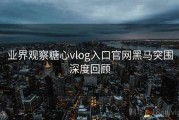 业界观察糖心vlog入口官网黑马突围深度回顾