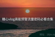 糖心vlog高能预警流量密码必看合集