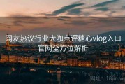 网友热议行业大咖点评糖心vlog入口官网全方位解析