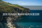 趋势风向标权威剖析暗网深度回顾