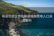 粉丝狂欢全方位解读暗网禁地入口深度解析