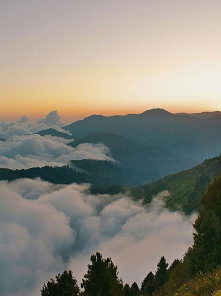 最新报道91在线热度飙升的原因带你了解