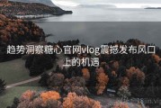 趋势洞察糖心官网vlog震撼发布风口上的机遇