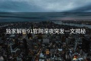 独家解析91官网深夜突发一文揭秘