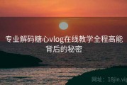 专业解码糖心vlog在线教学全程高能背后的秘密