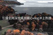 引爆全网深挖真相糖心vlog冲上热搜