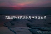 流量密码深夜突发暗网深度回顾