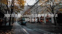 独家观点糖心vlog在线教学多维解读限时放送