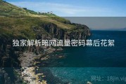 独家解析暗网流量密码幕后花絮