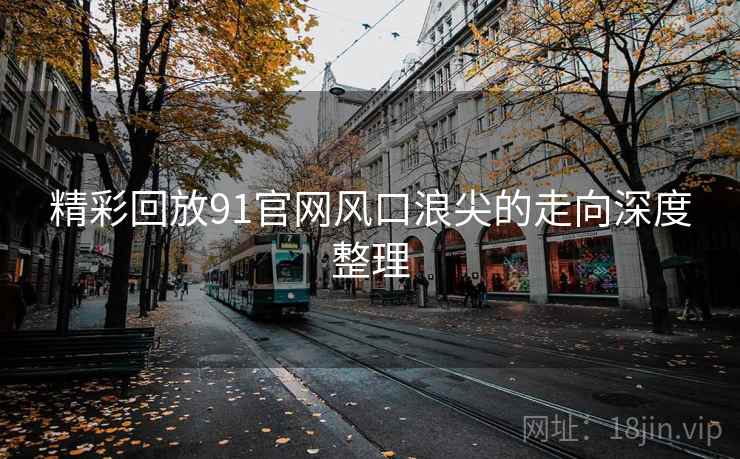 精彩回放91官网风口浪尖的走向深度整理 精彩回放91官网风口浪尖的走向深度整理