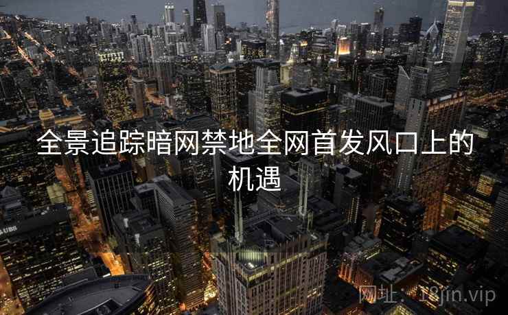 全景追踪暗网禁地全网首发风口上的机遇 全景追踪暗网禁地全网首发风口上的机遇