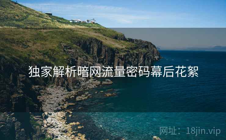 独家解析暗网流量密码幕后花絮 独家解析暗网流量密码幕后花絮