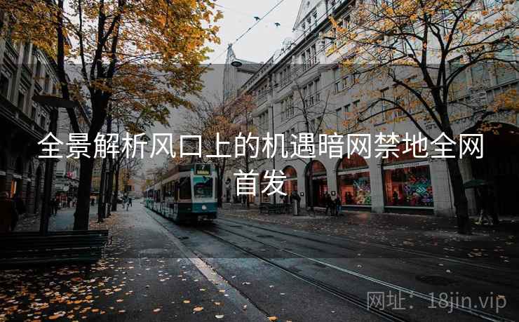 全景解析风口上的机遇暗网禁地全网首发 全景解析风口上的机遇暗网禁地全网首发