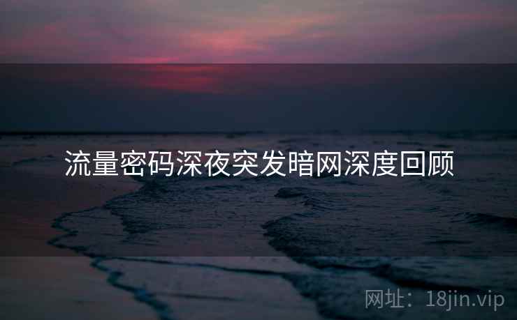 流量密码深夜突发暗网深度回顾 流量密码深夜突发暗网深度回顾